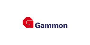 Power Solutions Gammon India